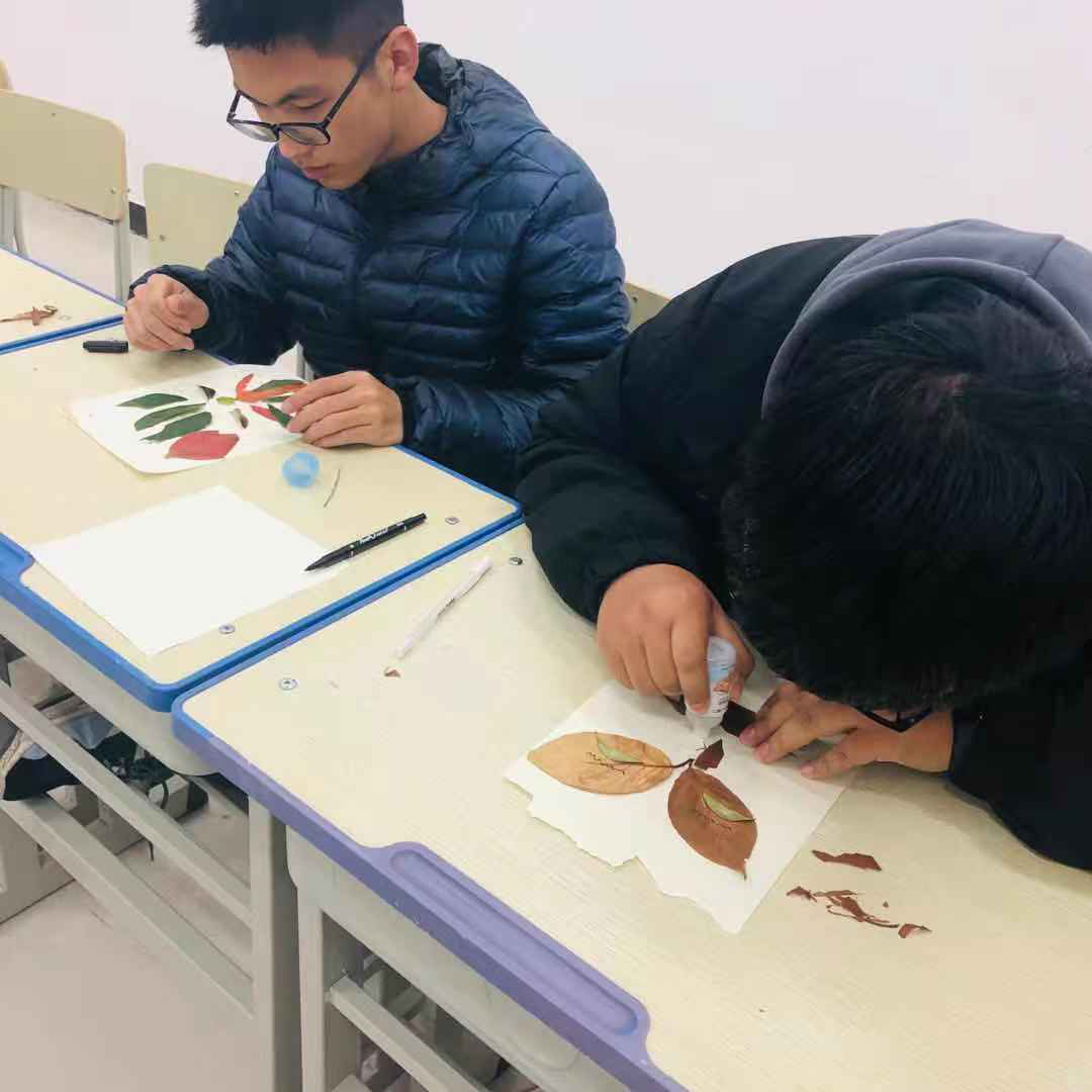 36365快速检测中心